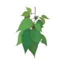 제남농장 이미지