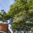 원용복마을 이미지