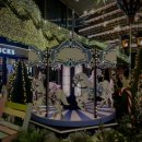 버드래미 | 2025서울 카페쇼 후기