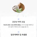 강한툴 | 아이도 어른도 같이 쓰는 순한 핸드워시생활공작소 핸드워시 + 거품툴 솔직 사용 후기