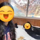 퀸당구장 | 소금산펜션 [지니의캠프펜션] 힐링 불멍캠핑 바베큐