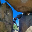 김밥나라개신점 | 관악산 등반(사당역에서 서울대입구까지)다람쥐 세마리