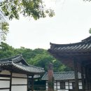 유선카페유선관 | 해남 유선관 숙박/한옥전통숙소/내돈내산후기/대흥사근처숙소