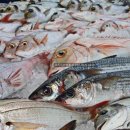 용원식당 이미지