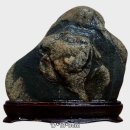 평화목장 이미지