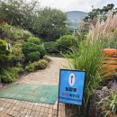 대구세명학교 | 대구 네이처파크 할로윈 축제 주차, 입장료 할인