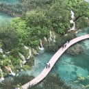 유기체 2019_8 이미지