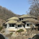 용인나무이야기 이미지