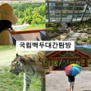 경북 봉화 국립백두대간수목원 호랑이 트램버스 식물원 입장료 여행 후기