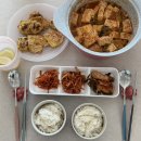 청주다이어트킹 | 2월 우키의 일상 | 우리의 2월은 두배로 행복할거야