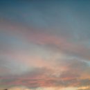 춘자농장 이미지