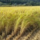 이송농장 이미지