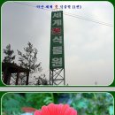 충남 아산 세계꽃 식물원 2012.2.23 일촬영★1편★ 이미지