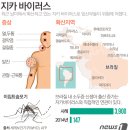 그래픽바이러스 이미지