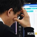 지영유통 이미지