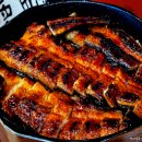 생방송투데이 파주 장어덮밥 맛집 어디? 35년 내공이 담긴 히츠마부시 위치·가격·후기
