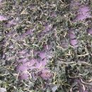 상동회관 이미지