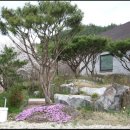 달빛품 이미지
