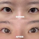 더 올림(The Ollim) | 일산 백석역 더올림 속눈썹 LED 펌포인트연장 추천 후기