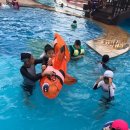 jin.s 태권도장 이미지