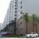 대덕대로-6 이미지