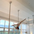 세즈폴댄스 | [세즈폴댄스] 중고급 수강권 6개월 후기(feat. 폴고수가 되고싶으면 모여라~!)