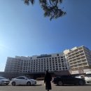 르노삼성자동차서비스코너경주점 | 🔥 경주 힐튼호텔 뷔페 ‘레이크사이드’ 솔직 후기 : 뷰·퀄리티·서비스까지 다 잡은 호텔 뷔페 끝판왕