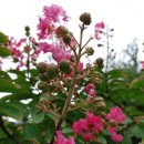 옥계(속초) 이미지