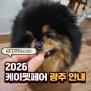 빅펫하우스(상무점) | 2026 케이펫페어 광주 사전등록 및 주차정보