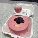 멍그레츄 | [은평구 강아지케이크] 유기농 수제간식 “멍그레츄” 구파발 주문 제작 케잌