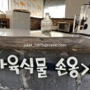 다육식물손옹기