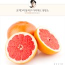 디자몽 이미지