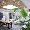 닥터스한의원 이미지