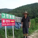 푸른들농장 Daum카페