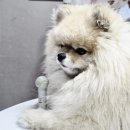 심방마을 | 산신 용신 용왕