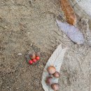 솔애유치원 이미지