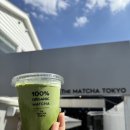 더 마차 | 도쿄 캣 스트리트 유기농 말차 맛집 '더 마차 도쿄' 방문 후기