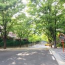 진로아파트 이미지