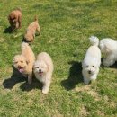 옹기종기 이미지