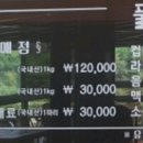 풀그리다 이미지