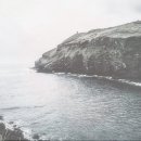 산호자원 이미지