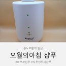 오월에윤 | 오월의아침 콜레세라 샴푸 후기, 민감성 두피 샴푸 추천 이유