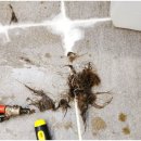 광암동 화장실 이미지