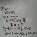남자는배여자는항구 이미지
