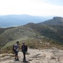 양산신-2015 이미지