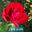 Happy wife Happy life 이미지