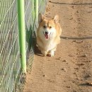 올림푸스원 이미지