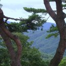 약수터주유소 이미지