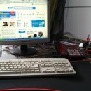 구스웰 | 구스웰 돌연변이 짱패드 게이밍마우스패드 추천 사용후기