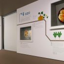 안가마실천 이미지